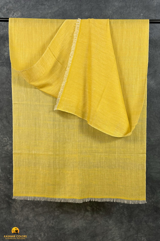 Sahara Pure Cashmere Stole