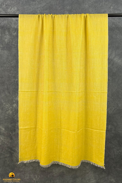Sahara Pure Cashmere Stole