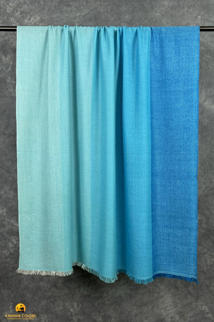 Pattadar Pure Cashmere Shawl
