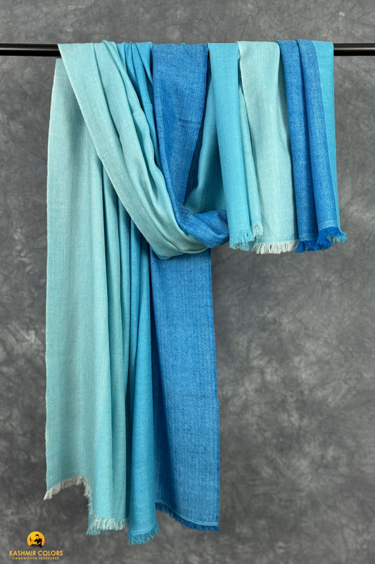 Pattadar Pure Cashmere Shawl